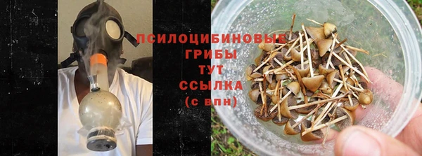 гашик Аркадак