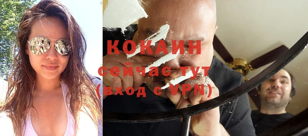 гашик Аркадак