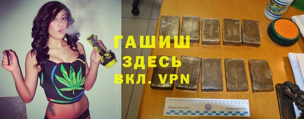 гашик Аркадак