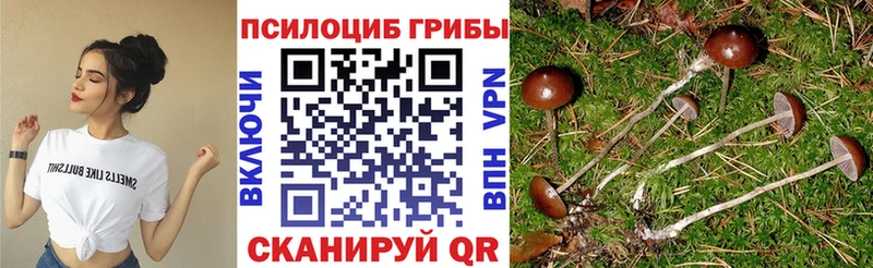 ссылка на мегу ССЫЛКА Ивантеевка Псилоцибиновые грибы Magic Shrooms